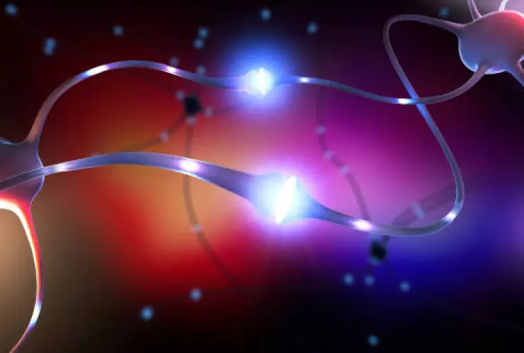 Día Mundial de la Epilepsia