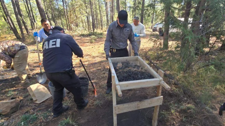 Restos óseos en Madera
