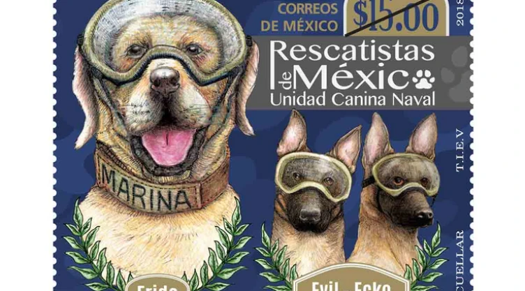 Sepomex lanza estampilla dedicada a perrita Frida por sus labores de rescate