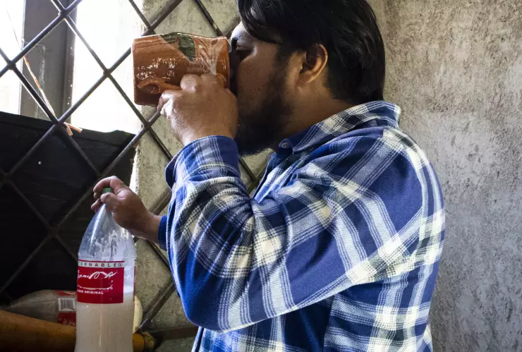 Bebiendo pulque