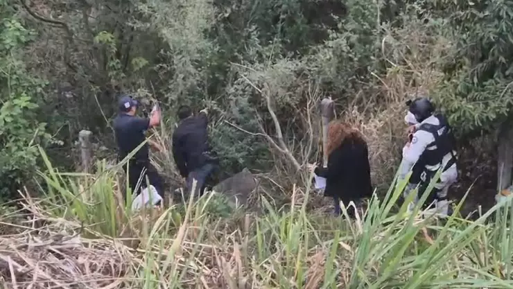 ¡Movilización! Hallan osamenta en Cerro Gordo, Emiliano Zapata