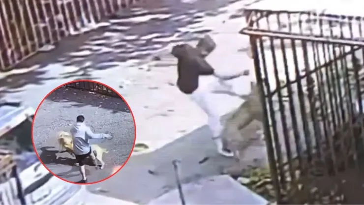 En Culhuacán, dos jóvenes patearon a un perrito callejero tras ponerlo a pelear