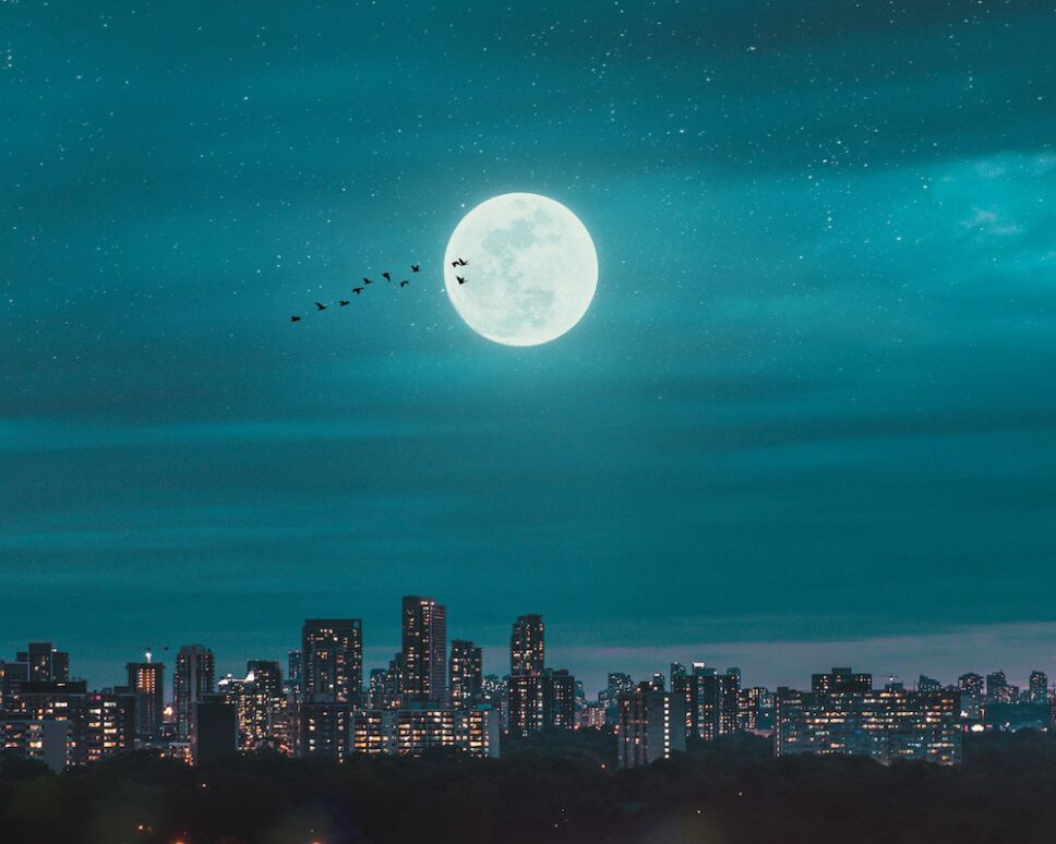 la luna llena sobre la ciudad