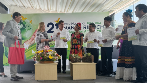 Tercer Lugar: Preservación de la especie iguana