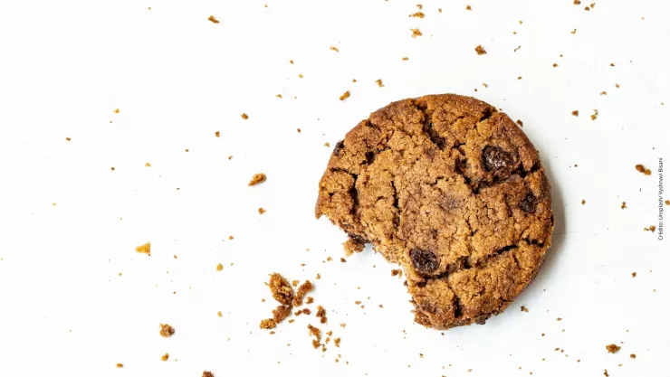 Fallece niña por comer una galleta envenenada que era para su perro.