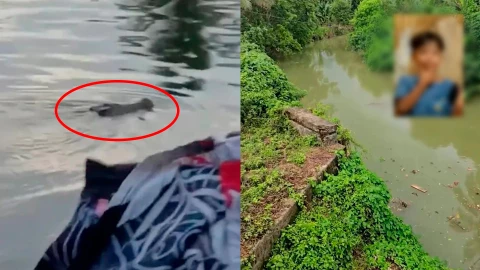 IMÁGENES TRÁGICAS | Niño de 14 años es atacado por muere al ser devorado por un cocodrilo; arrastró y sumergió su cuerpo al agua