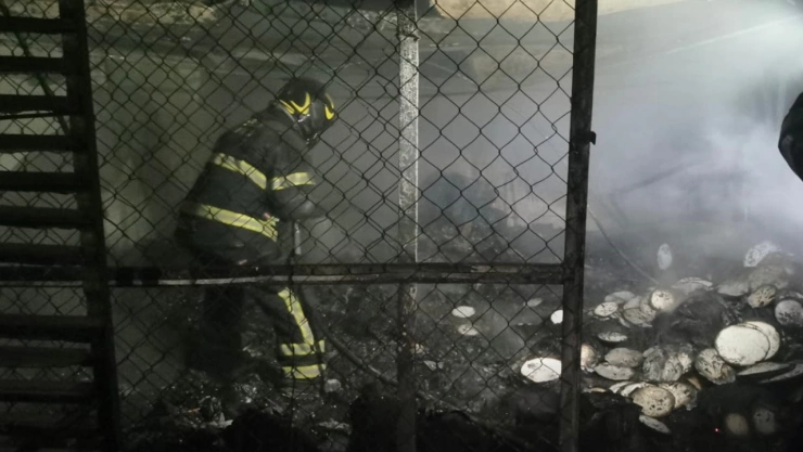 bomberos-incendio-tlalpan-panderia