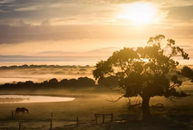 Solsticio de invierno