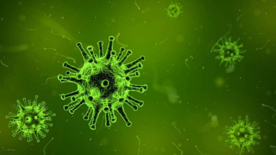 Permafrost, bacterias, virus 3.jpg