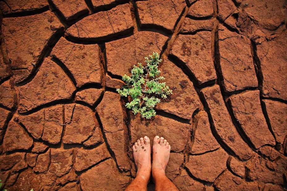 Cambio climático