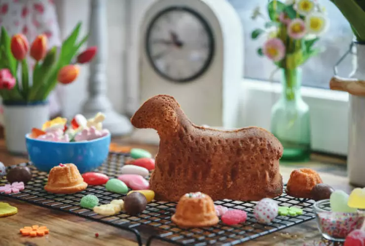 calaveritas mascotas