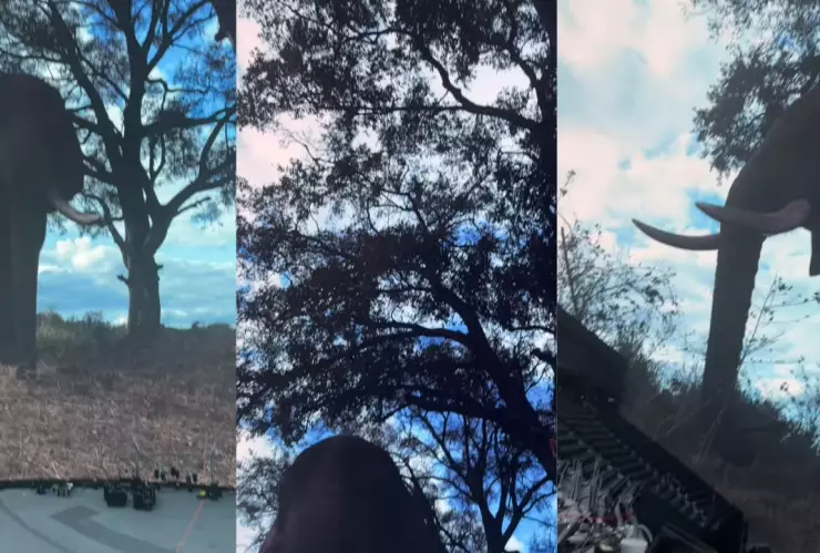 La pantalla más grande alcanza una resolución de hasta 18K, ¿qué se proyectará?