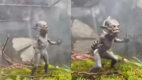 VIDEO | Hombre encuentra extraña criatura en el bosque; asegura que es un hada