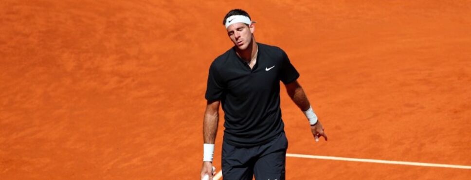 Juan Martín del Potro