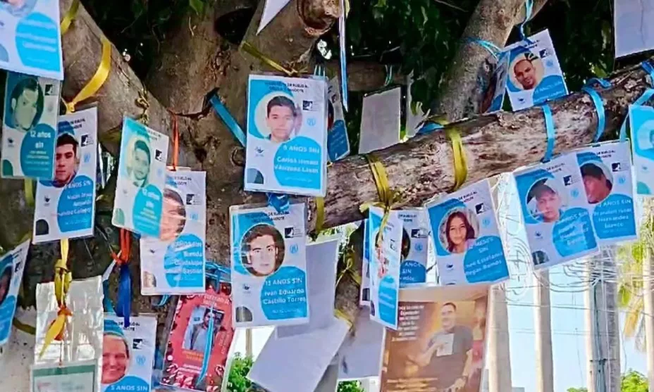 Veracruz está entre los estados con más desaparecidos