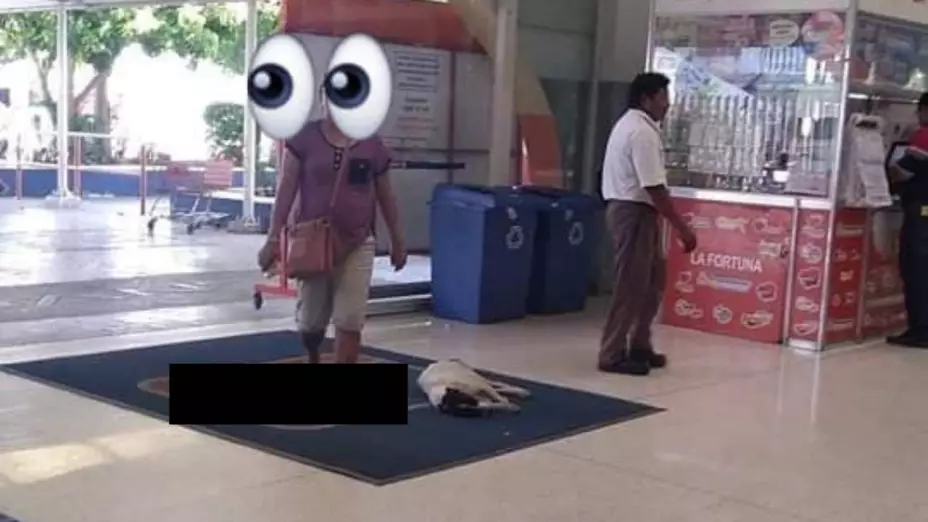 Perrito entra a supermercado a refrescarse, en Yucatán (FOTO)