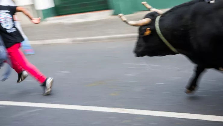 Toro embiste a joven en España