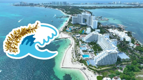 Playas libres de sargazo en Quintana Roo HOY 23 de junio de 2025_ Lista desde Holbox, Cancún y hasta Tulum.jpg