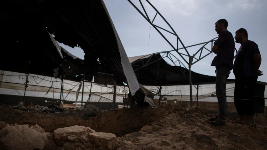 Daños causados en granja avícola por ataques aéreos israelíes en Palestina