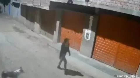 Del amor a la agresión joven es atropellada por su expareja en Perú.jpg