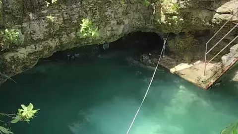 Familia encuentra un cenote en el patio de su casa en Yucatán