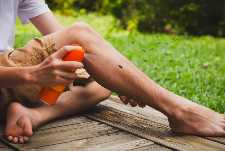 ¿Cómo evitar a los mosquitos durante 24 horas en temporada de calor?