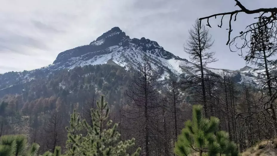 Joven montañista muere al caer del nevado de Colima; autoridades lograron rescatar el cuerpo