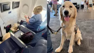 perros-asistencia-eu-4