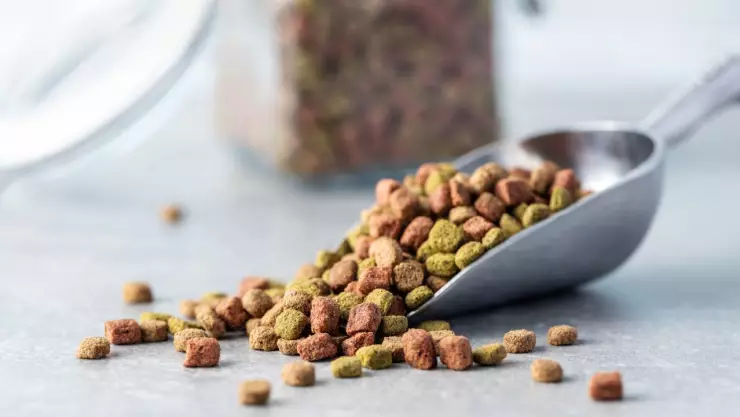 Retiran alimentos para mascotas en EE.UU.