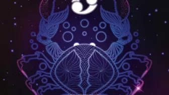 Cáncer cangrejo morado.jpg