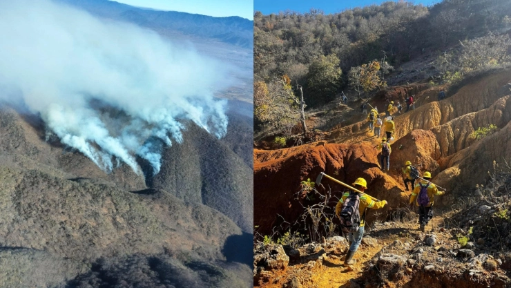 Mueren cinco comuneros tras intentar sofocar incendio forestal en Oaxaca