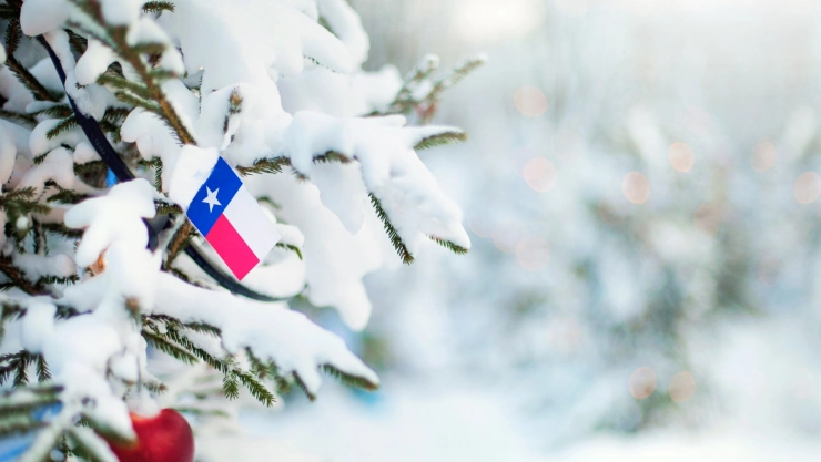 Bandera de Texas dentro de un árbol cubierto de nieve