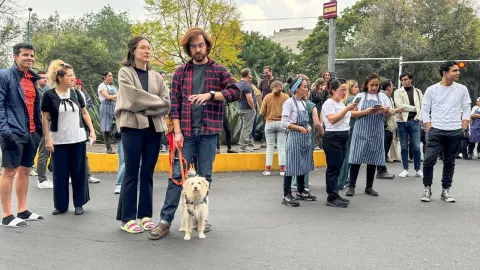 ¿Por qué no sonó la alerta sísmica por el temblor de este martes 12 de diciembre?