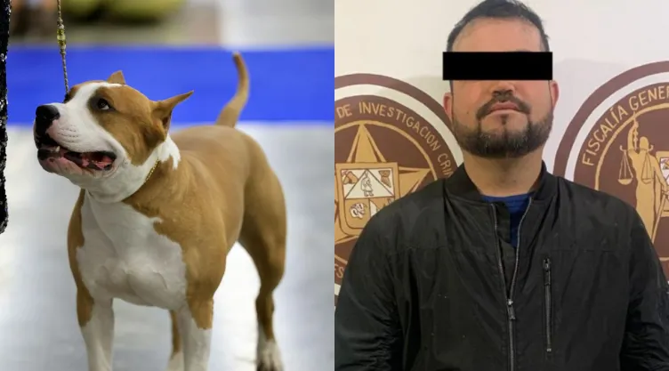 Perro Bull Terrier y Eduardo “N”, asesino del perro “Popeye”.