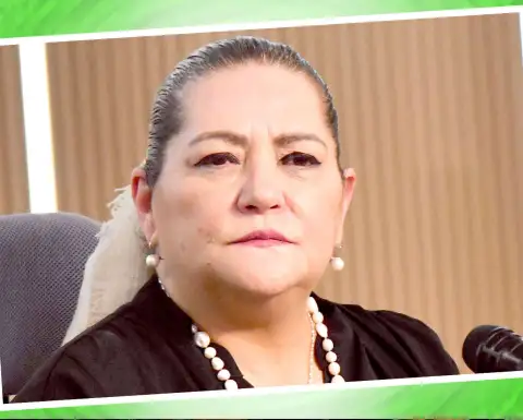 Guadalupe Taddei, Presidenta Consejera del INE