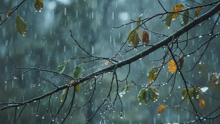 ¡Lleva el paraguas! Esta es la hora exacta de las lluvias en el estado de Veracruz hoy 31 de marzo de 2026