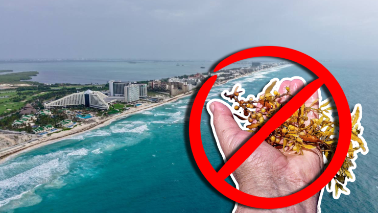 Estas son las playas sin sargazo en Quintana Roo HOY 10 de octubre de 2025_ De Holbox, Cancún, Tulum a Xcalak.jpg