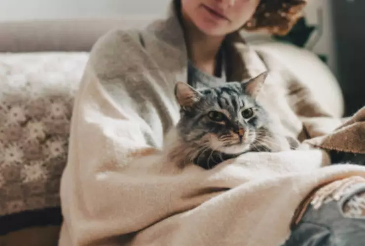 A esta temperatura los gatos comienzan a sentir frío