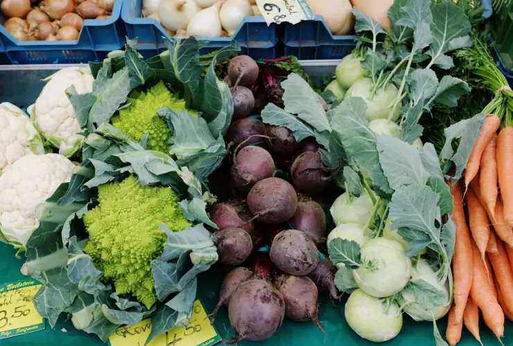 Rotación de cultivos qué es y cómo se hace.jpg