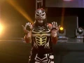 Lucha Fighter