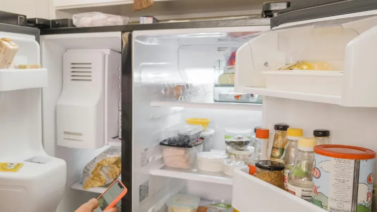 apagon-como-puedes-conservar-alimentos-comida-sin-refrigerador.jpg