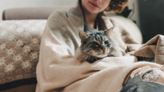 A esta temperatura los gatos comienzan a sentir frío