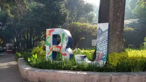 alcaldia benito juarez.jpg