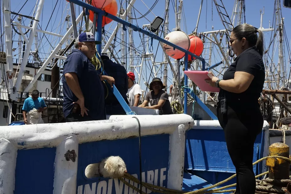 Sader 30 de diciembre 2024.jpeg