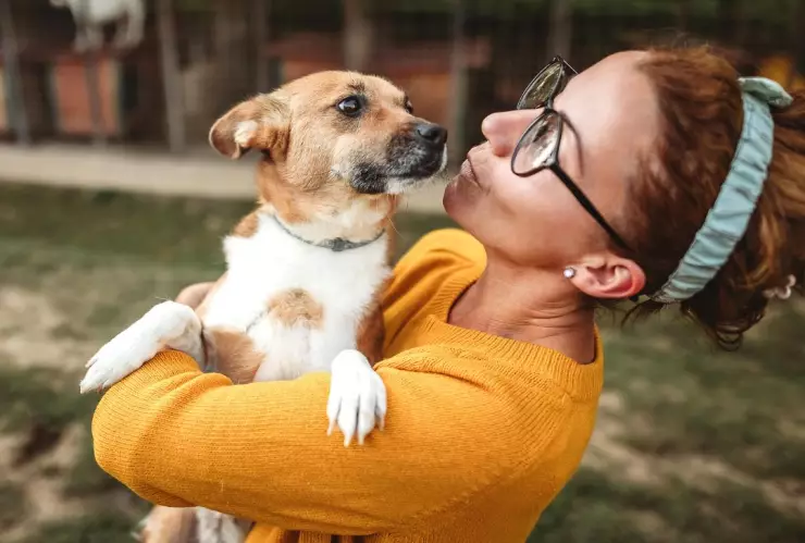Rescatan a 8 perritos lesionados tras explosión en la alcaldía de Tlalpan
