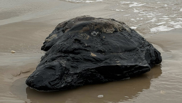 Esta toma horizontal de plano medio muestra un bloque grande e irregular de hidrocarburo solidificado, o chapapote, descansando sobre la arena húmeda de la Playa Bagdad en Matamoros, Tamaulipas, México. El bloque es de un color negro azabache, con una textura rugosa, porosa y desgastada que sugiere que ha estado en el océano durante mucho tiempo. Es oblongo, con un extremo ligeramente más redondeado y el otro más cónico y puntiagudo. La superficie del bloque es irregular y abollada, con grietas y hendiduras que revelan su composición asfáltica. El bloque se encuentra en el centro de la imagen, con la arena húmeda de la playa que lo rodea por todos lados. La arena es de color marrón claro, y está cubierta por una fina capa de agua de las olas que rompen en la orilla. Pequeñas ondulaciones en el agua añaden textura a la escena. La parte superior de la imagen muestra las olas que rompen en la orilla, con espuma blanca que se desliza sobre la arena. La iluminación es natural, y el chapapote brilla con un brillo tenue bajo la luz del sol. Un pequeño objeto blanco, posiblemente un caparazón de almeja o una piedra, se encuentra a la izquierda del chapapote en primer plano. La imagen es nítida y bien enfocada, capturando la textura granular de la arena y la superficie rugosa del chapapote con gran detalle.