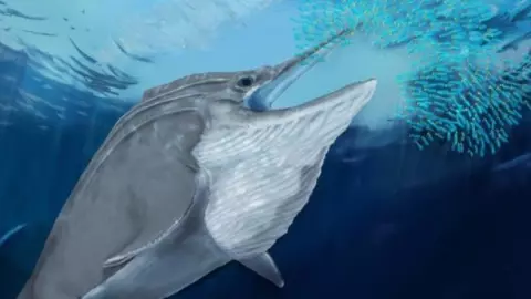 Hallan en Alpes suizos el mayor diente de dinosaurio marino más grandes