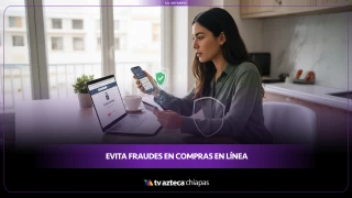Los 5 Errores más comunes que te convierten en víctima de fraude online