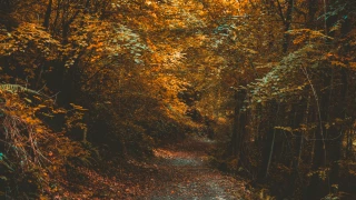 Frío Ciudad Juárez.png