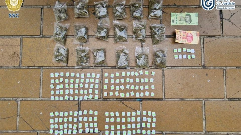 Cateo colonia Centro (5).jpeg